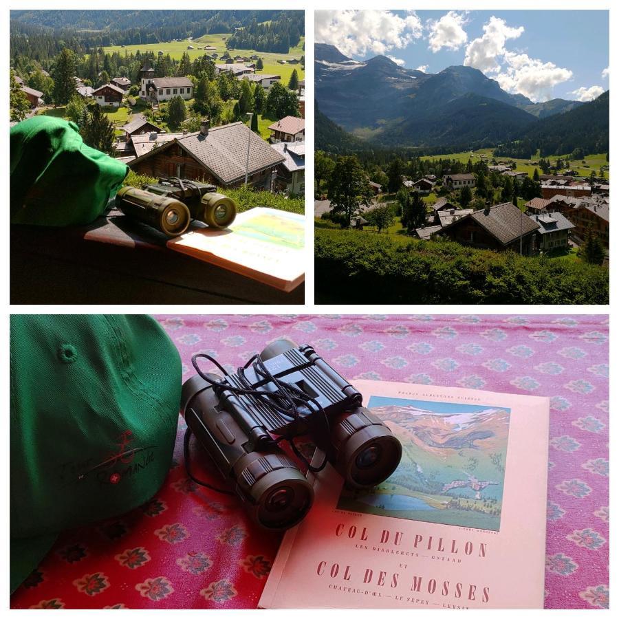 Studio Avec Vue Splendide Sur Les Diablerets Exterior photo