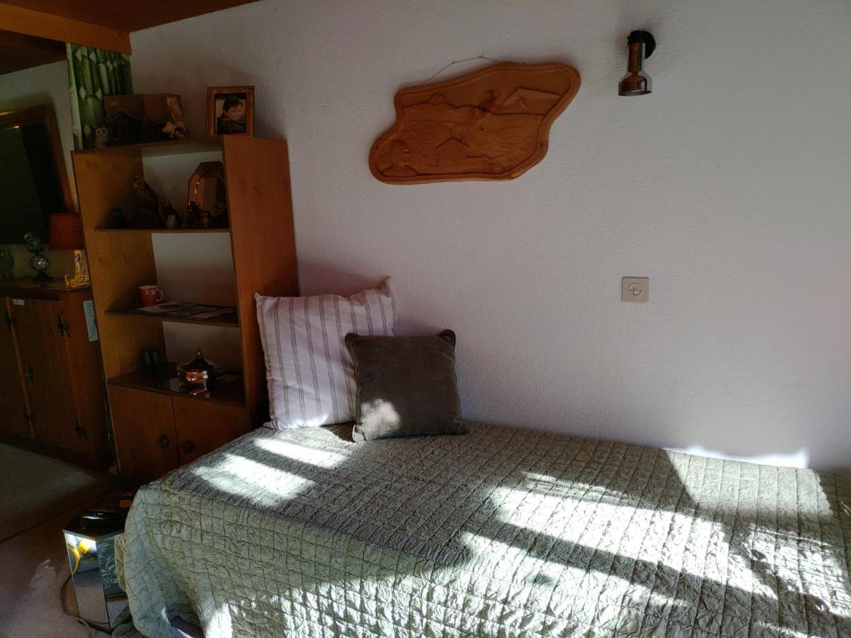 Studio Avec Vue Splendide Sur Les Diablerets Exterior photo