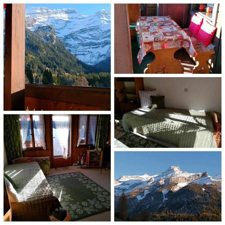 Studio Avec Vue Splendide Sur Les Diablerets Exterior photo
