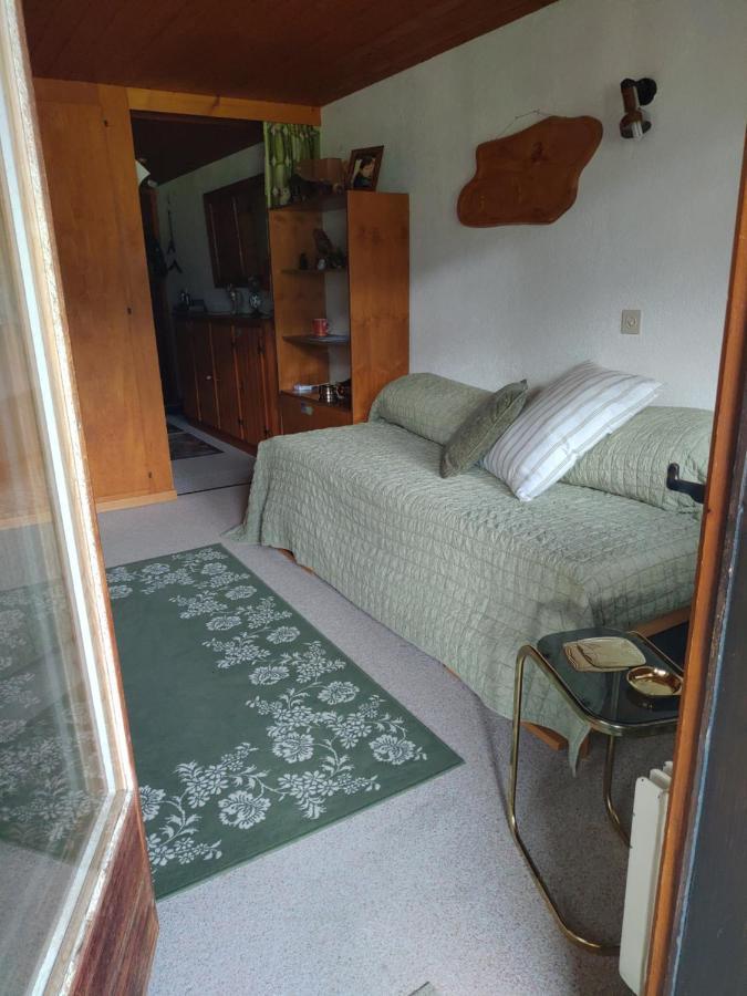 Studio Avec Vue Splendide Sur Les Diablerets Exterior photo