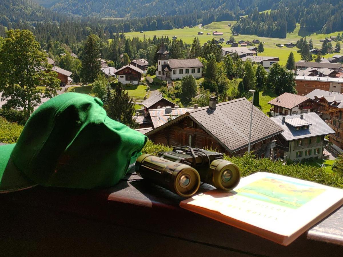 Studio Avec Vue Splendide Sur Les Diablerets Exterior photo